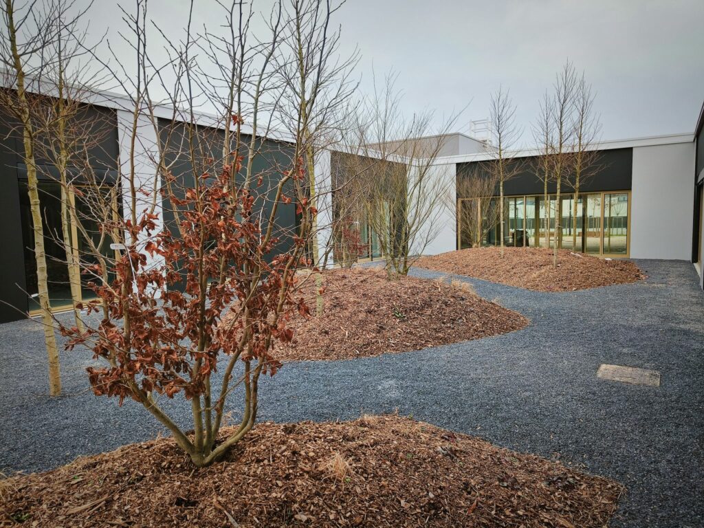 Chantier Bezannes arbres de la Pépinière de Tortefontaine Pas de Calais HDF